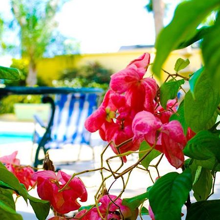 Golden Sands Hotel Крайст Чърч Екстериор снимка